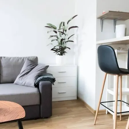 Loft In Front Of The Cathedral 公寓 维尔纽斯