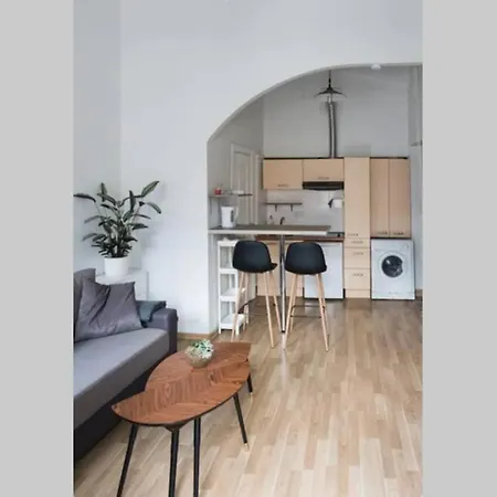 Apartment Loft In Front Of The Cathedral Vilnius