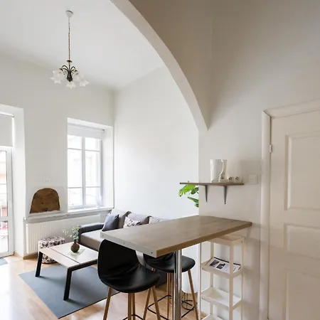 Old Town Loft Private Terrace Steps From Cathedral Vilnius