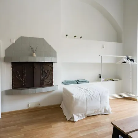 Old Town Loft Private Terrace Steps From Cathedral * 维尔纽斯