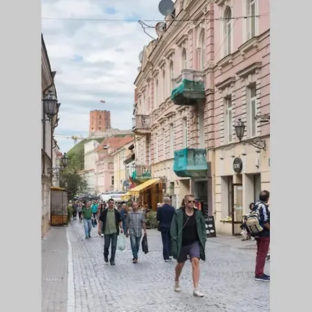 Apartamento Loft In Front Of The Cathedral Vilna