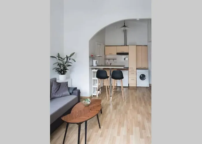 Apartamento Loft In Front Of The Cathedral Vilnius