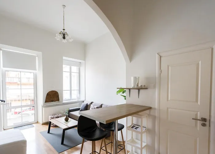 Old Town Loft Private Terrace Steps From Cathedral Wilna