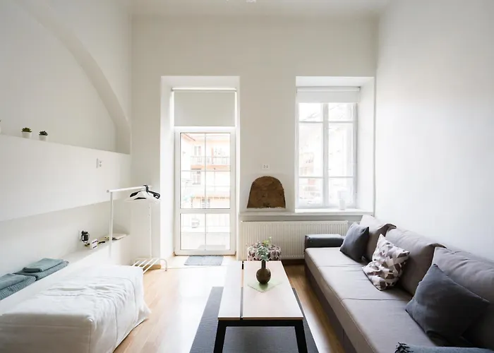 Old Town Loft Private Terrace Steps From Cathedral Wilna